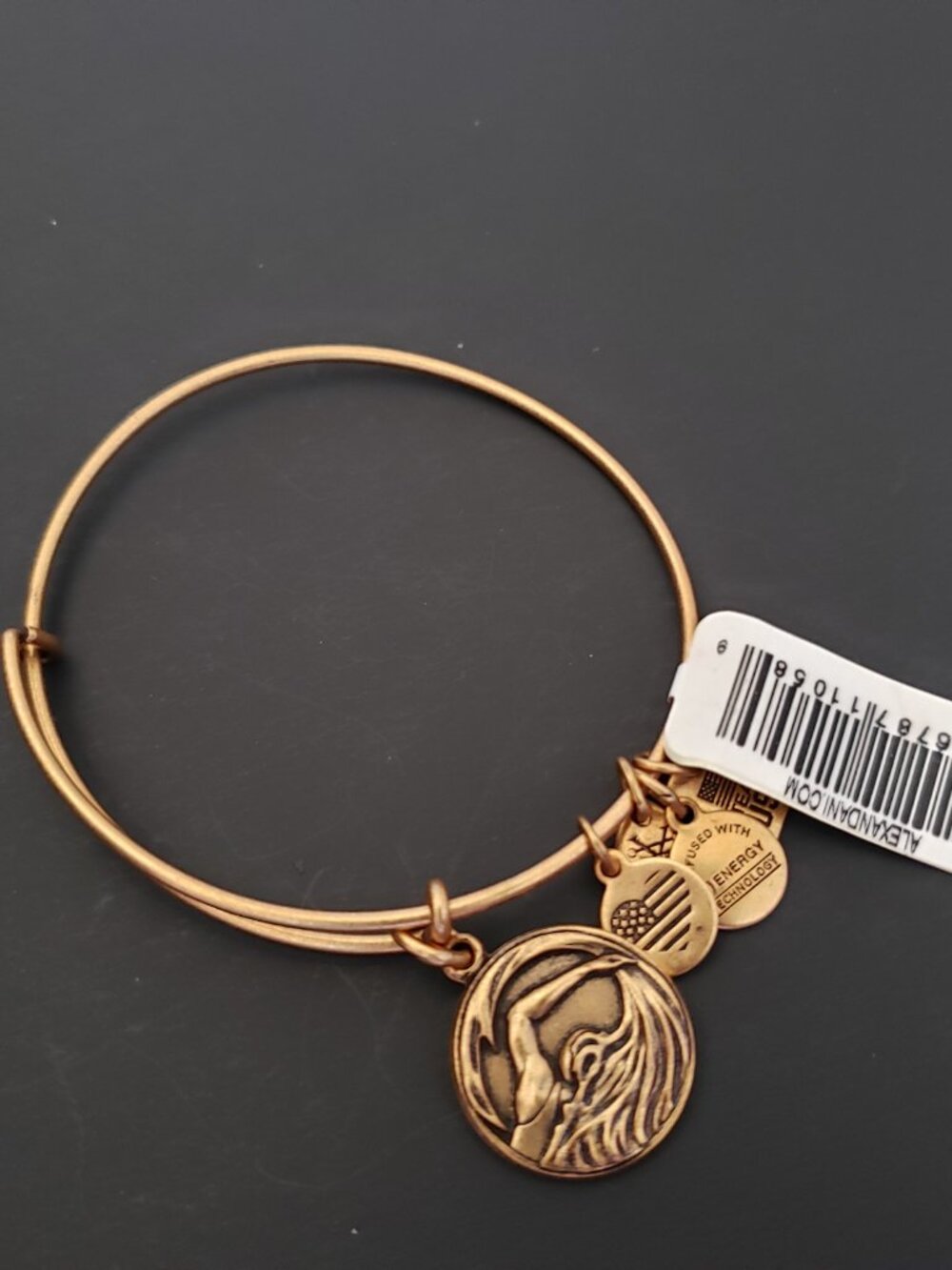 NWT Alex and Ani Team USA Swimming Charm Bracelet 736